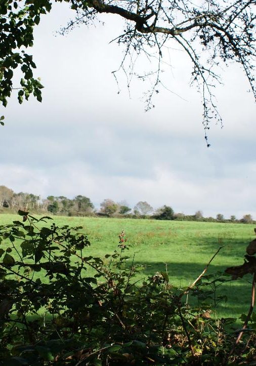 View from the adjoining footpath